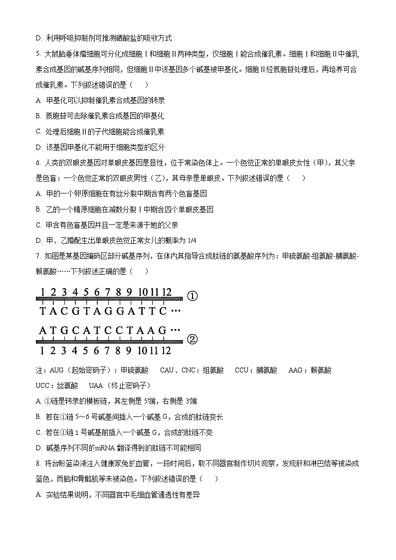 2024年新高考贵州卷生物高考真题解析（原卷+解析）02