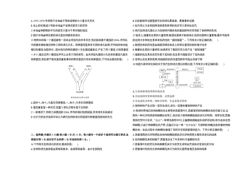 高中生物人教版 (2019)必修2《遗传与进化》第6章生物的进化测试卷（Word版附解析）03