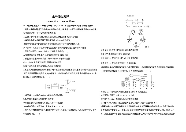 高中生物人教版 (2019)必修2《遗传与进化》全书综合测评试卷（Word版附解析）01