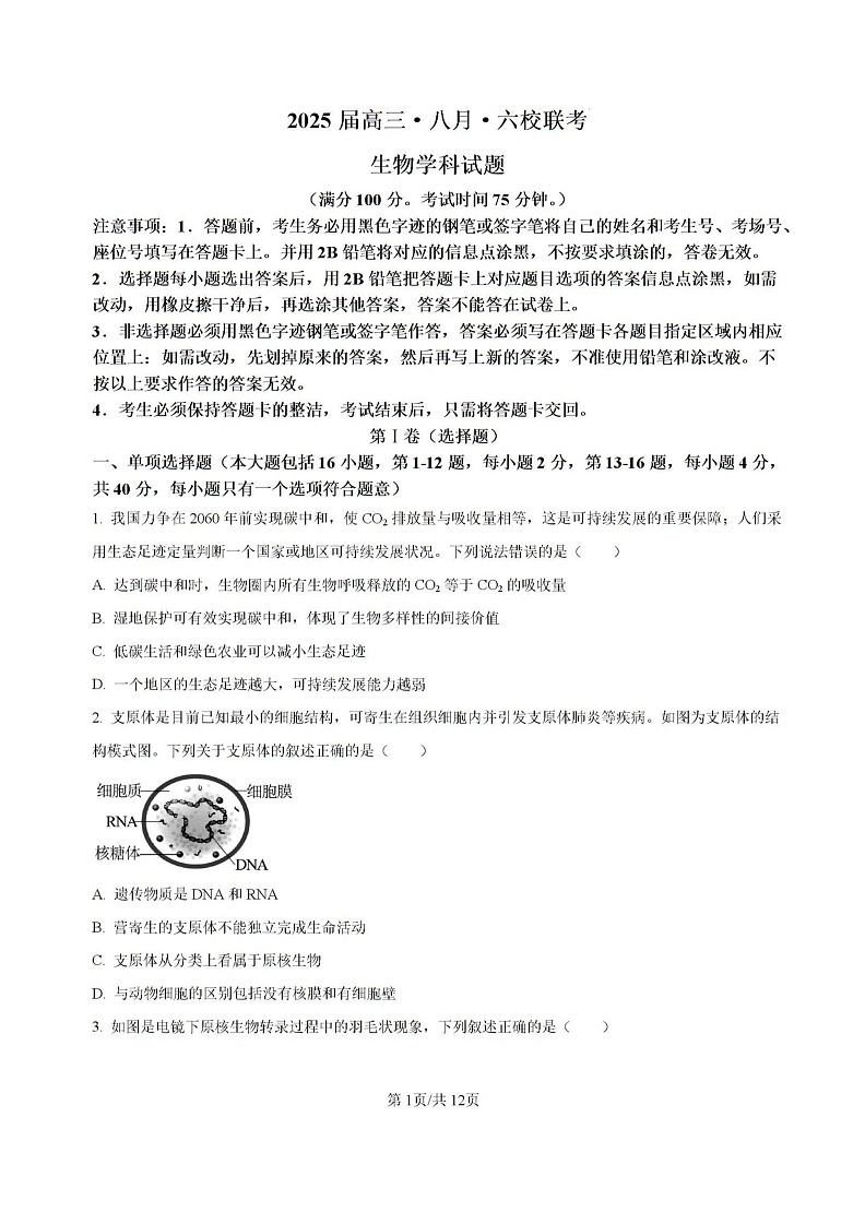 广东省六校2024—2025学年高三上学期8月联考生物试题第1页