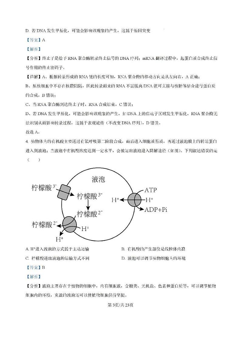 广东省六校2024—2025学年高三上学期8月联考生物试题(解析版）第3页