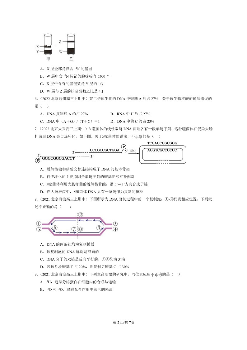 [生物]2021～2023北京重点校高三上学期期中生物真题分类汇编：DNA的复制第2页