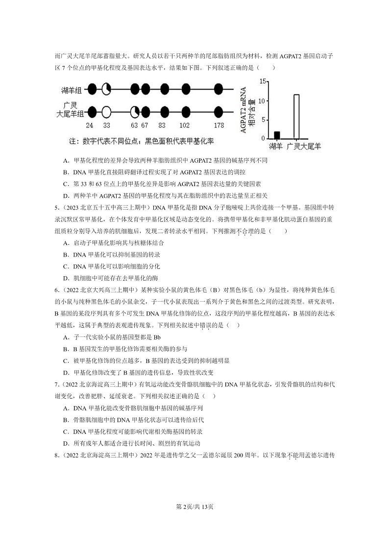 [生物]2021～2023北京重点校高三上学期期中生物真题分类汇编：基因的表达与性状关系02