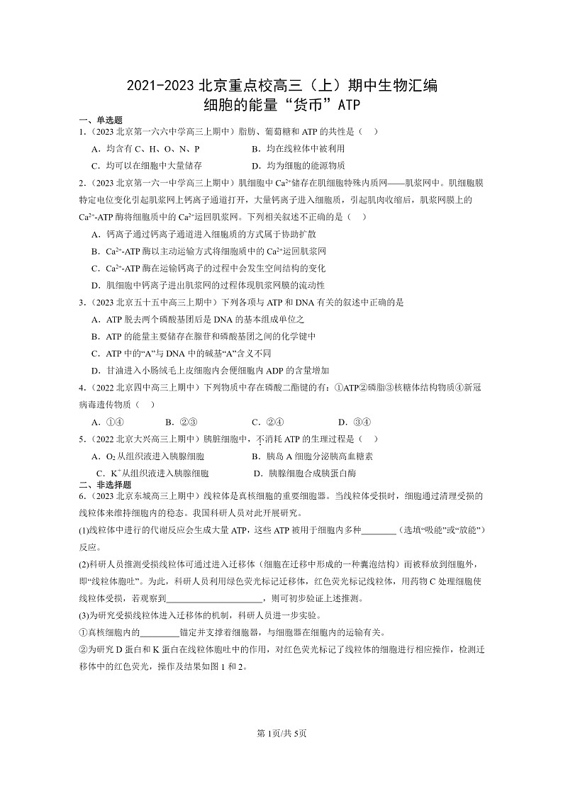 [生物]2021～2023北京重点校高三上学期期中生物真题分类汇编：细胞的能量“货币”ATP01