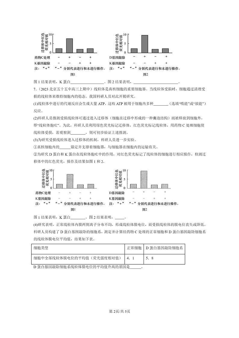 [生物]2021～2023北京重点校高三上学期期中生物真题分类汇编：细胞的能量“货币”ATP02