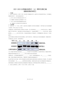 [生物]2021～2023北京重点校高三上学期期中生物真题分类汇编：细胞的衰老和死亡