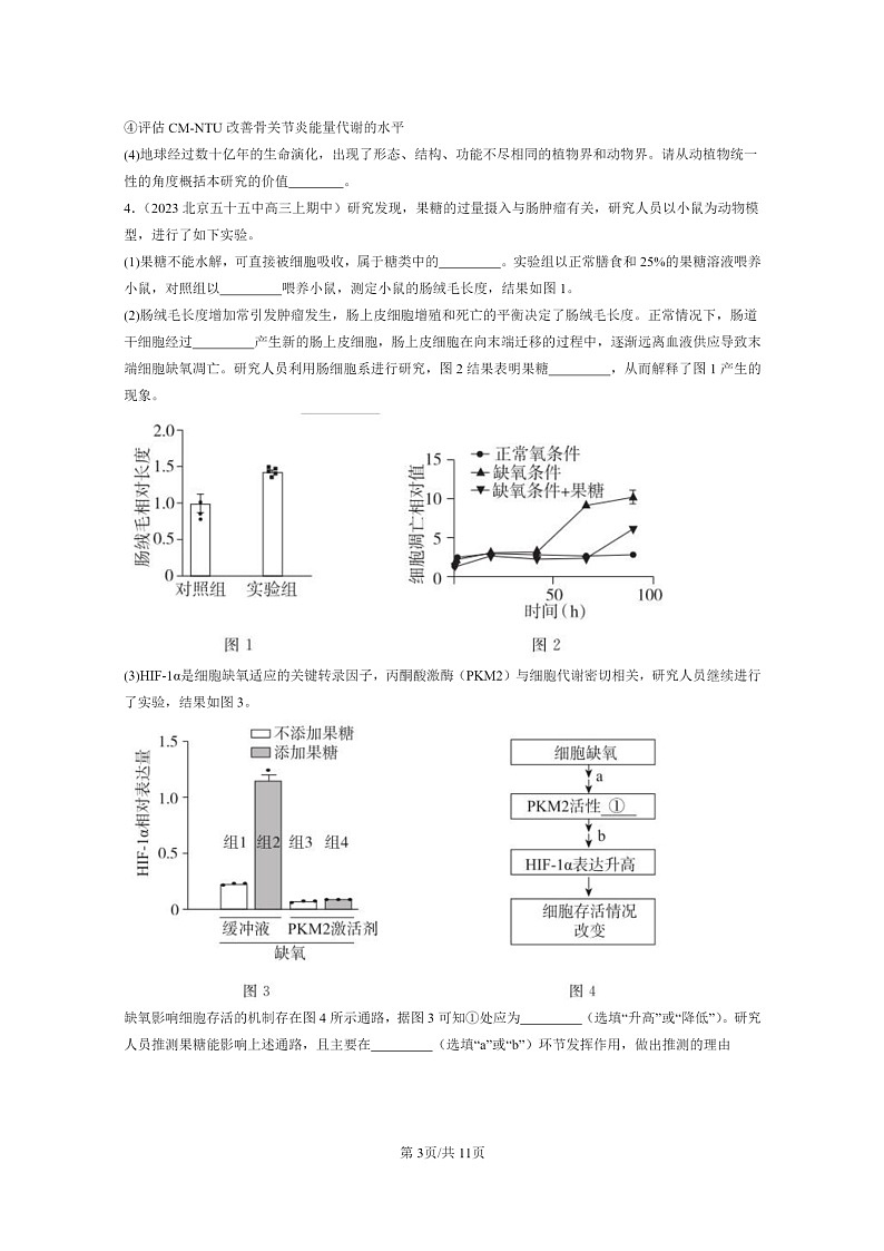 [生物]2021～2023北京重点校高三上学期期中生物真题分类汇编：细胞的衰老和死亡03