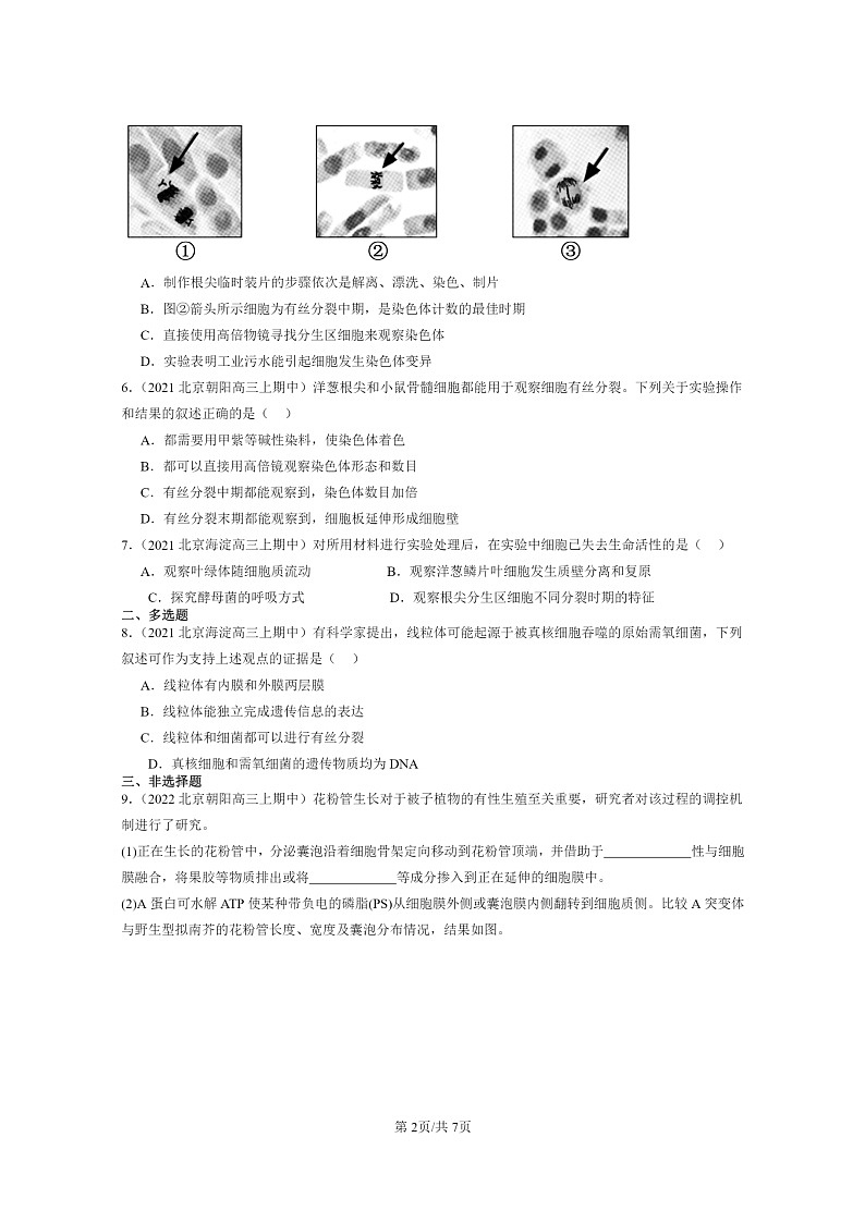 [生物]2021～2023北京重点校高三上学期期中生物真题分类汇编：细胞的增殖第2页