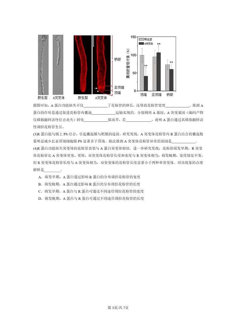 [生物]2021～2023北京重点校高三上学期期中生物真题分类汇编：细胞的增殖第3页