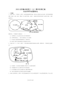 [生物]2023北京重点校高三上学期期中生物真题分类汇编：光合作用与能量转化