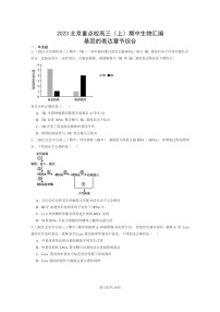 [生物]2023北京重点校高三上学期期中生物真题分类汇编：基因的表达章节综合