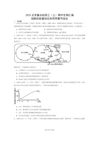 [生物]2023北京重点校高三上学期期中生物真题分类汇编：细胞的能量供应和利用章节综合