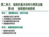 第04讲 细胞膜和细胞核-备战2025年高考生物一轮复习精优课件