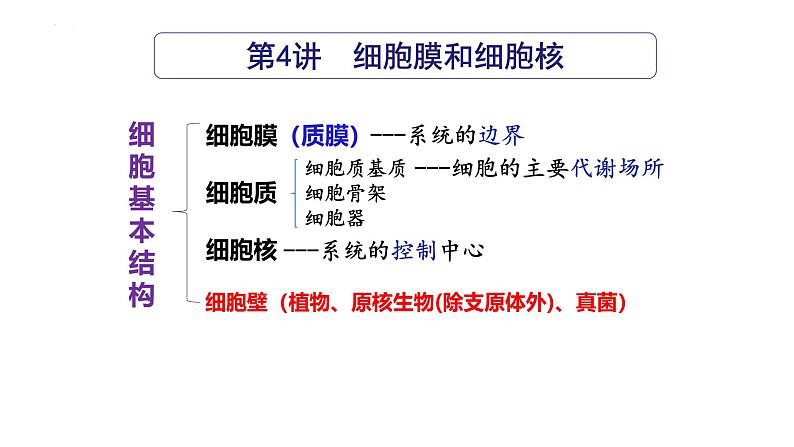 第04讲 细胞膜和细胞核-备战2025年高考生物一轮复习精优课件第2页