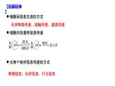 第04讲 细胞膜和细胞核-备战2025年高考生物一轮复习精优课件