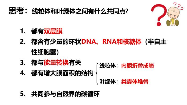 第05讲 细胞器与生物膜系统-备战2025年高考生物一轮复习精优课件08