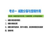 第11讲  减数分裂与受精作用-备战2025年高考生物一轮复习精优课件
