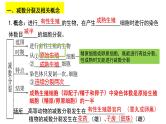 第11讲  减数分裂与受精作用-备战2025年高考生物一轮复习精优课件