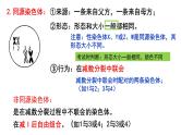 第11讲  减数分裂与受精作用-备战2025年高考生物一轮复习精优课件