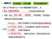 第12讲  细胞的分化、衰老和死亡-备战2025年高考生物一轮复习精优课件