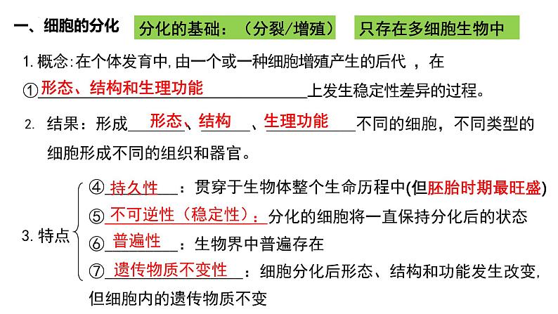 第12讲  细胞的分化、衰老和死亡-备战2025年高考生物一轮复习精优课件第3页