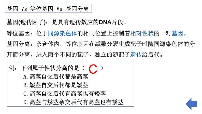 第13讲  基因的分离定律-备战2025年高考生物一轮复习精优课件06