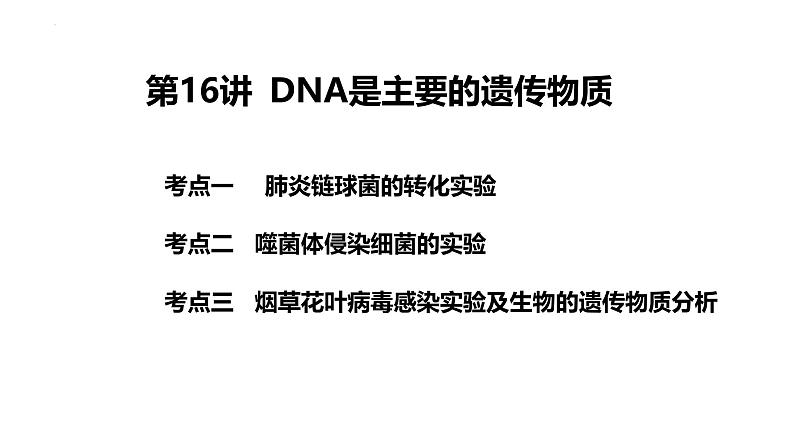 第16讲  DNA是主要的遗传物质-备战2025年高考生物一轮复习精优课件01