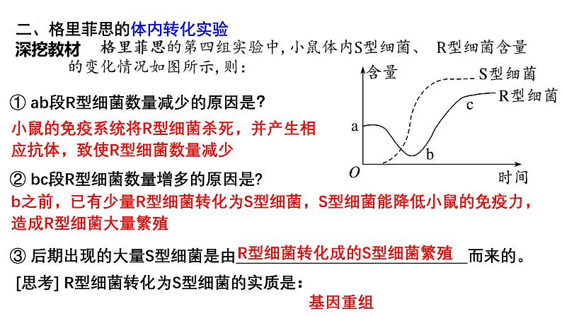 第16讲  DNA是主要的遗传物质-备战2025年高考生物一轮复习精优课件06