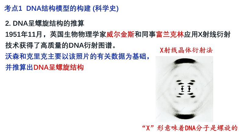 第17讲  DNA的结构、复制和基因的本质-备战2025年高考生物一轮复习精优课件04