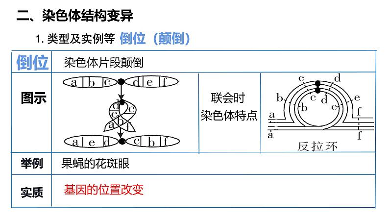 第20讲  染色体变异-备战2025年高考生物一轮复习精优课件第8页