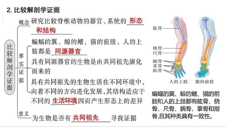 第21讲 生物进化-备战2025年高考生物一轮复习精优课件第4页