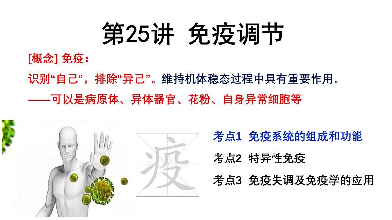 第25讲 免疫调节-备战2025年高考生物一轮复习精优课件01