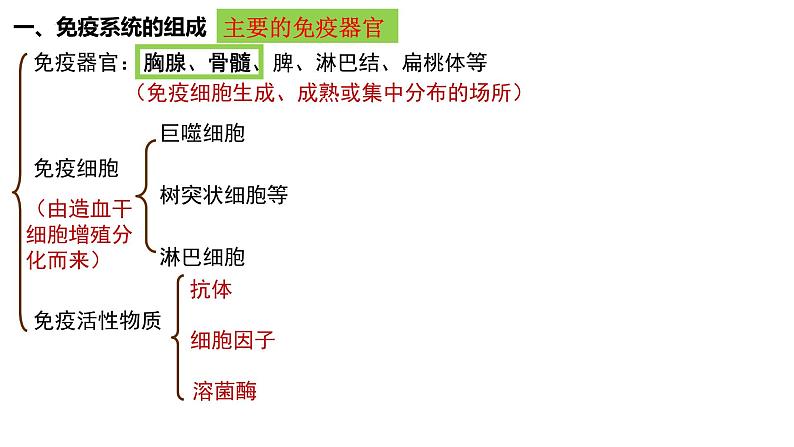第25讲 免疫调节-备战2025年高考生物一轮复习精优课件03