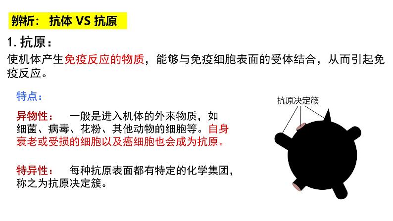 第25讲 免疫调节-备战2025年高考生物一轮复习精优课件08