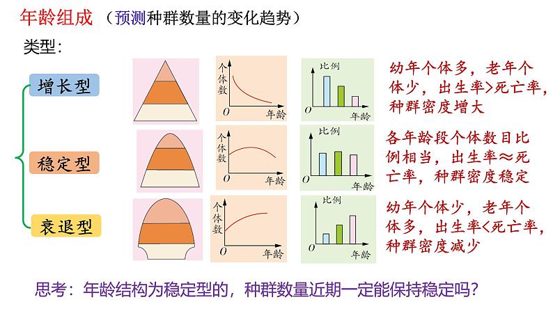 第27讲  种群数量及其动态-备战2025年高考生物一轮复习精优课件06