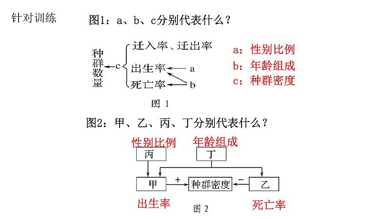 第27讲  种群数量及其动态-备战2025年高考生物一轮复习精优课件08