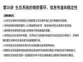 第30讲  生态系统的物质循环、信息传递与稳定性-备战2025年高考生物一轮复习精优课件