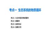 第30讲  生态系统的物质循环、信息传递与稳定性-备战2025年高考生物一轮复习精优课件