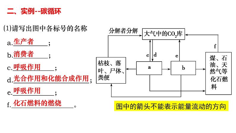 第30讲  生态系统的物质循环、信息传递与稳定性-备战2025年高考生物一轮复习精优课件第4页