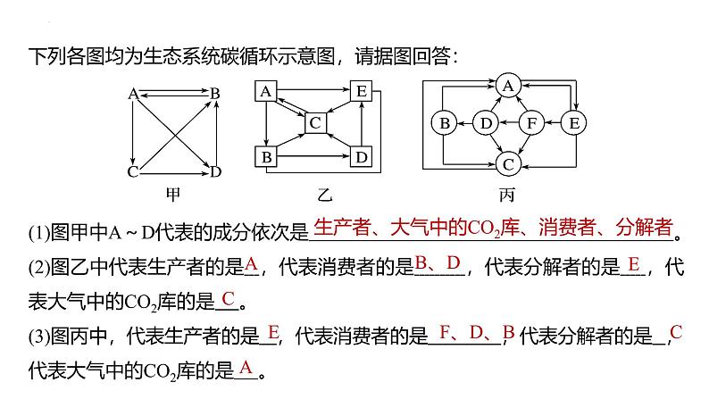 第30讲  生态系统的物质循环、信息传递与稳定性-备战2025年高考生物一轮复习精优课件第6页