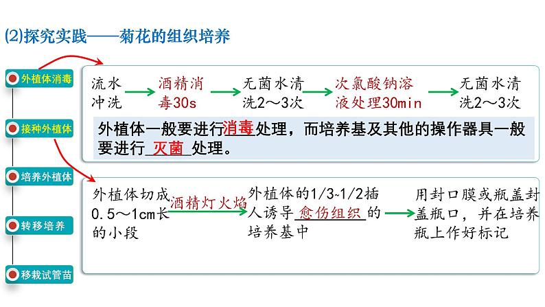 第33讲  植物细胞工程-备战2025年高考生物一轮复习精优课件06