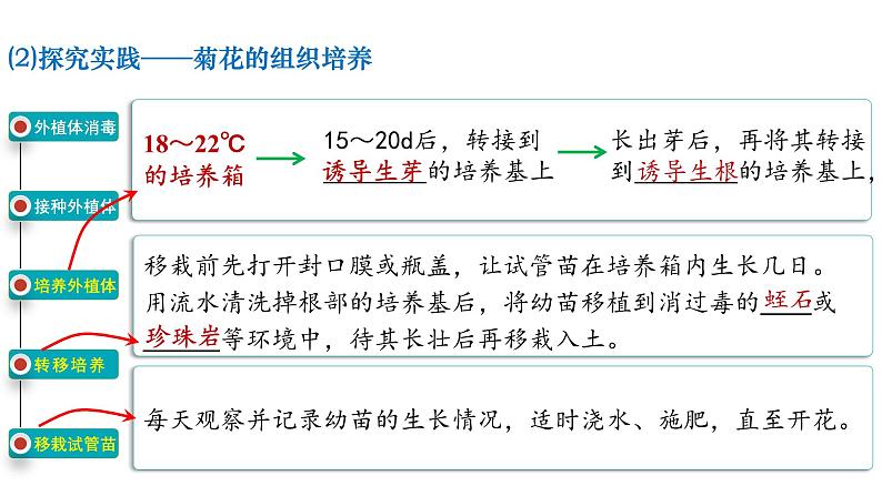 第33讲  植物细胞工程-备战2025年高考生物一轮复习精优课件07