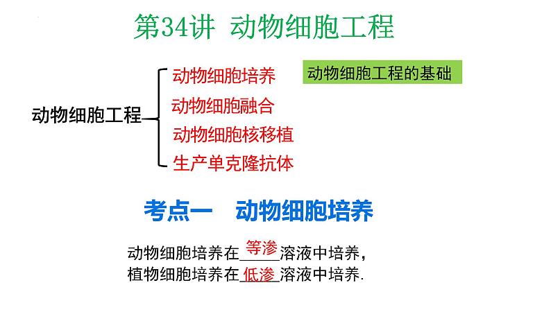 第34讲 动物细胞工程-备战2025年高考生物一轮复习精优课件第1页