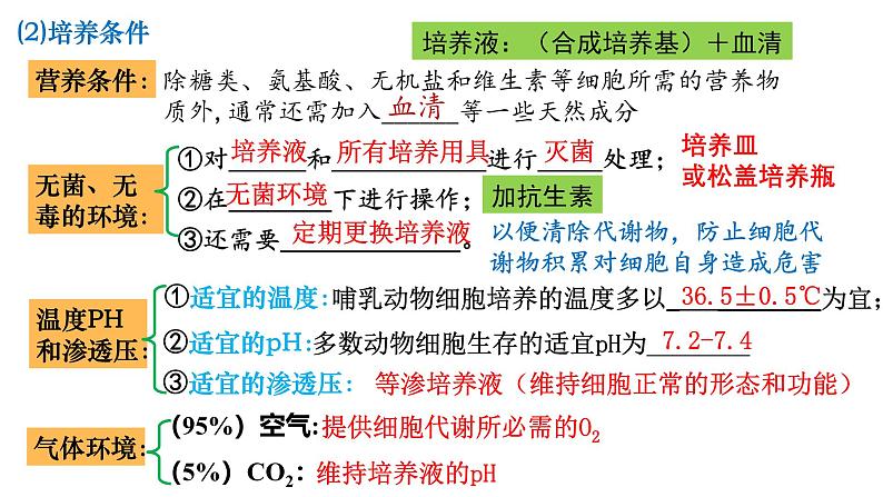 第34讲 动物细胞工程-备战2025年高考生物一轮复习精优课件第3页