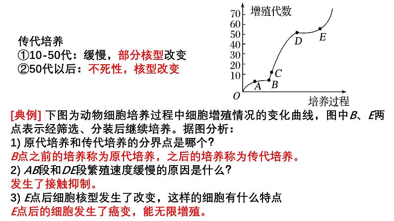 第34讲 动物细胞工程-备战2025年高考生物一轮复习精优课件第7页