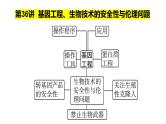 第36讲  基因工程、生物技术的安全性与伦理问题-备战2025年高考生物一轮复习精优课件