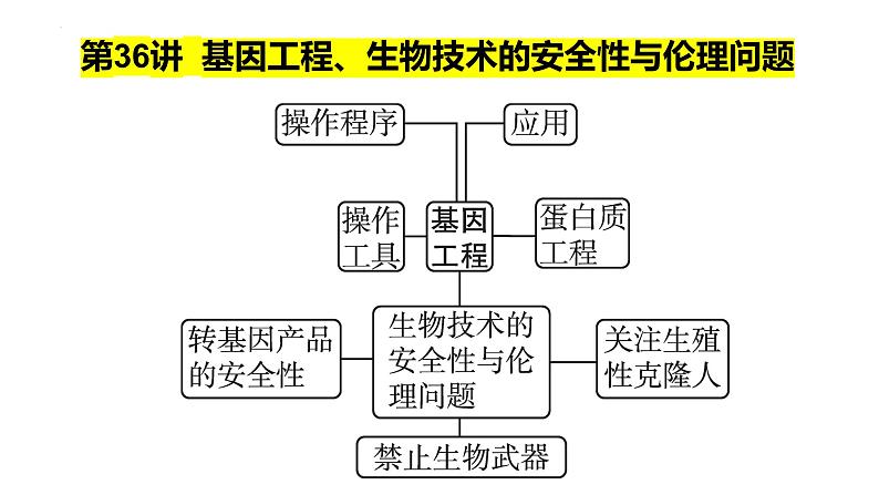 第36讲  基因工程、生物技术的安全性与伦理问题-备战2025年高考生物一轮复习精优课件01