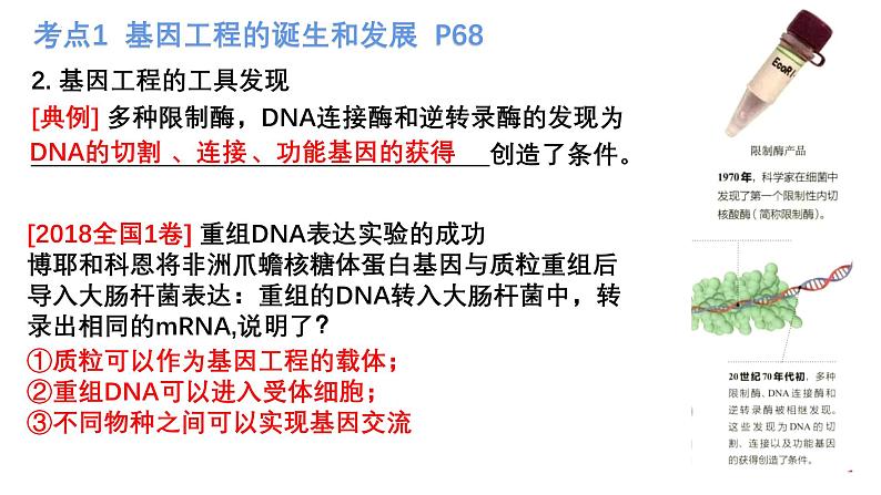 第36讲  基因工程、生物技术的安全性与伦理问题-备战2025年高考生物一轮复习精优课件04