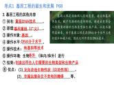 第36讲  基因工程、生物技术的安全性与伦理问题-备战2025年高考生物一轮复习精优课件