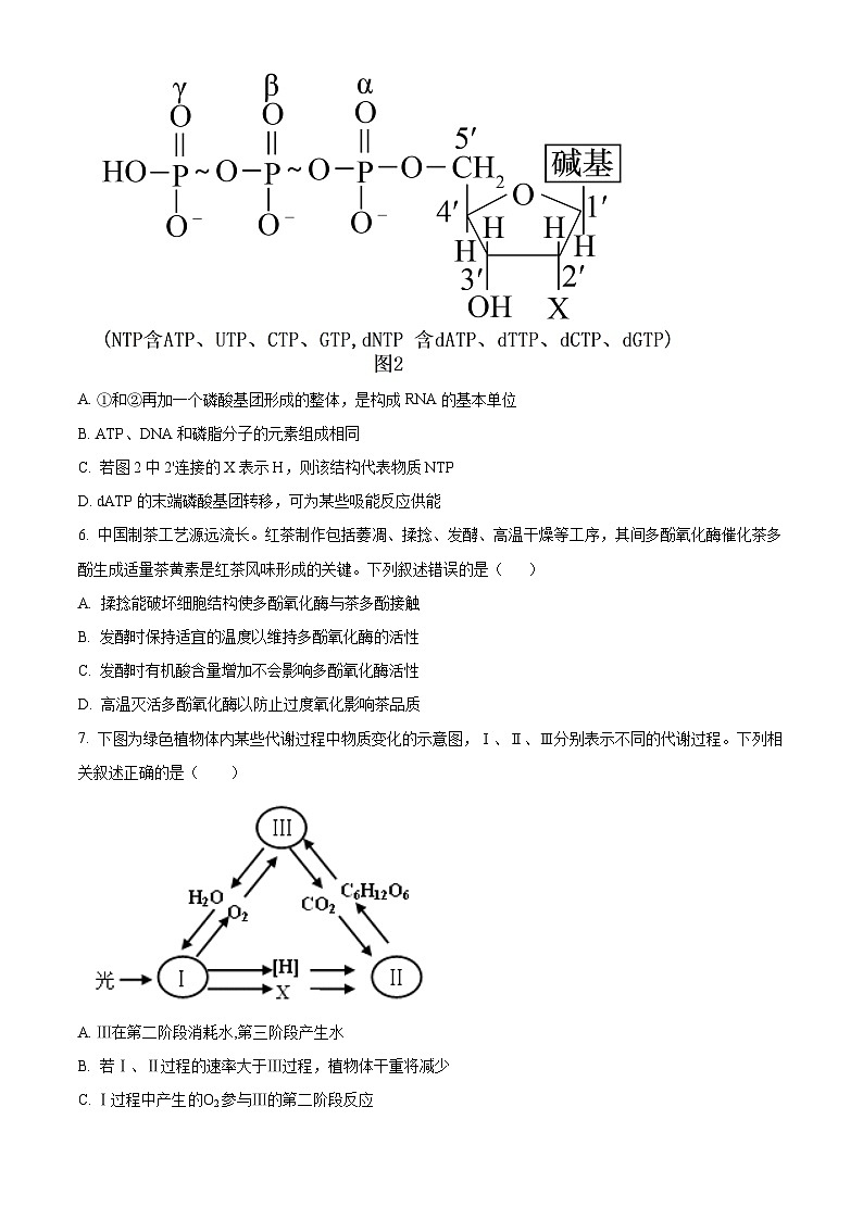 内蒙古自治区锡林郭勒盟2023-2024学年高一下学期7月期末考试生物试题（Word版附解析）第3页